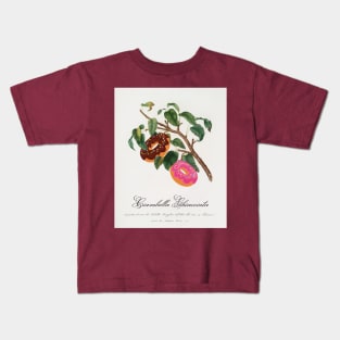 "Ciambella Ghiacciata" - Donut Tree; classic botanical art from Pomona Italiana updated with chocolate and strawberry donuts Kids T-Shirt